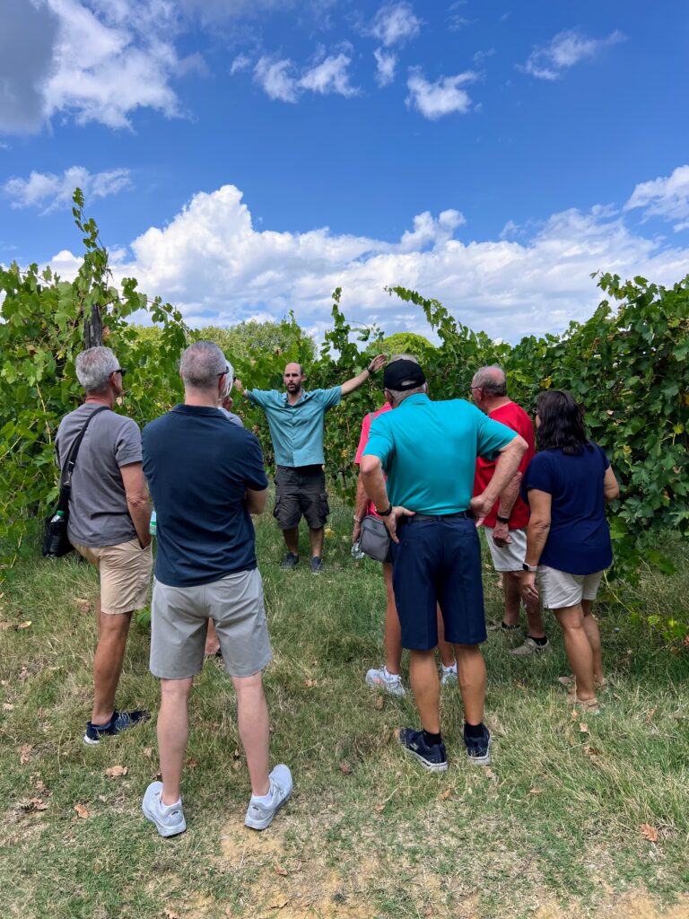 Italy travel. A tour of Sembolini winery followed by a farm to table lunch and tasting is a favorite experience. Brenda Ajay, Allegro Luxury Vacations, Italy travel expert